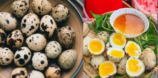 Trứng cút nhỏ nhưng có 9 lợi ích sức khỏe bất ngờ, nhiều người chưa biết
