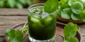 Những người nên hạn chế uống nước rau má