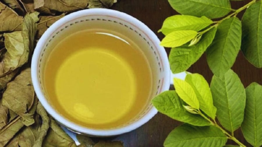 Uṓng nước ʟá ổi rất hại với 5 người này: Hãy tránh xa!