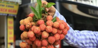 Người mắc 1 trong 5 bệnh này không nên ăn quả vải