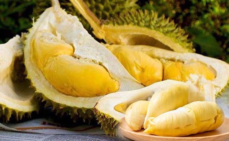 Ngon 1 lựa chọn dia