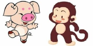 3 cặp đôi con giáp đại xung khắc, lấy nhau sẽ nghèo khổ cả đời