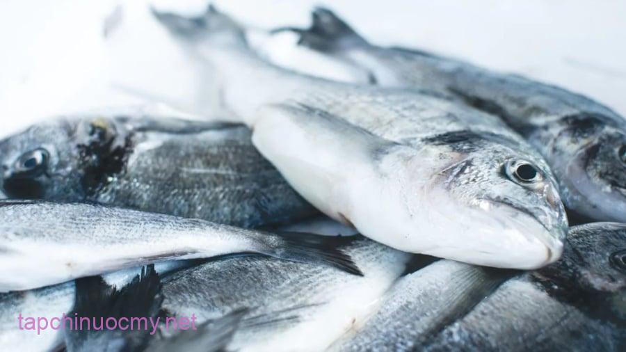Cá được cấp đông lâu ngày, cá ướp hóa chất tiềm ẩn nhiều tác hại đối với sức khỏe.