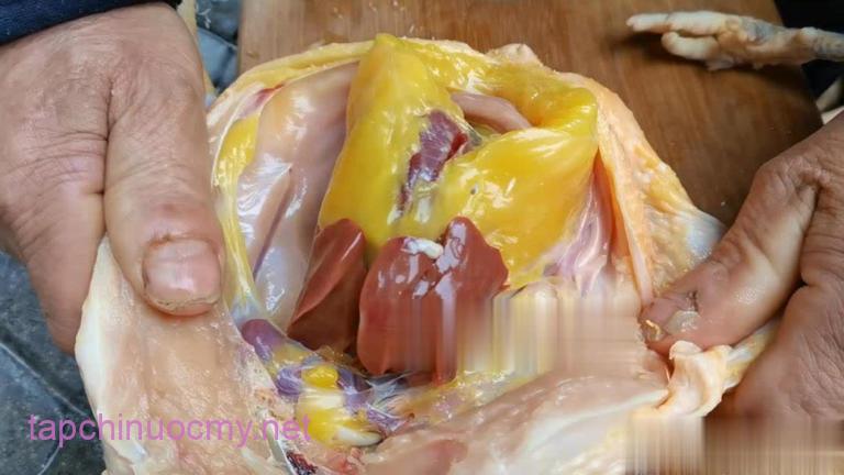 Phần thịt gà dinh dưỡng "ᵭắt hơn giá vàng" nhưng ʟại hay bị người Việt vứt bỏ- Ảnh 1.