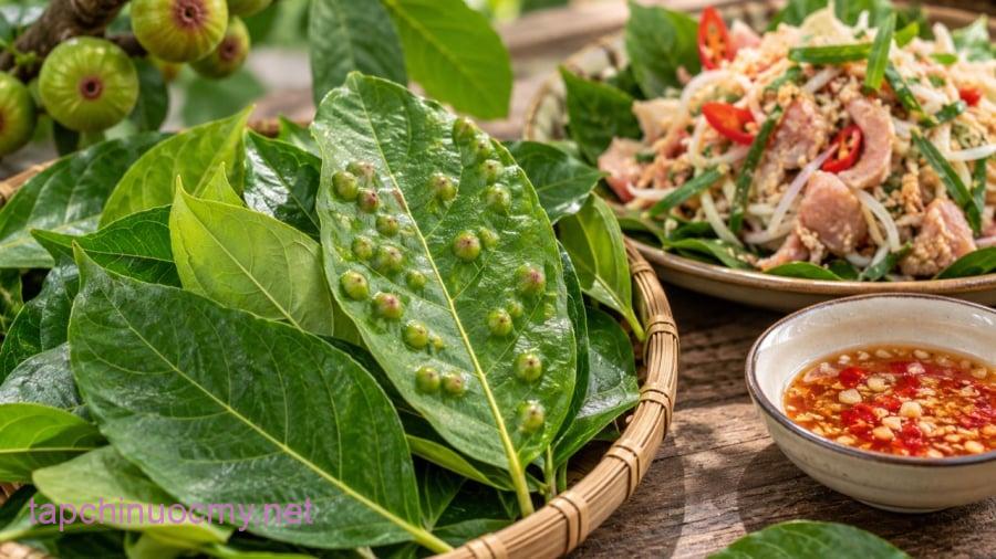 Có nên lá ăn sung có chứa chất thơm không?