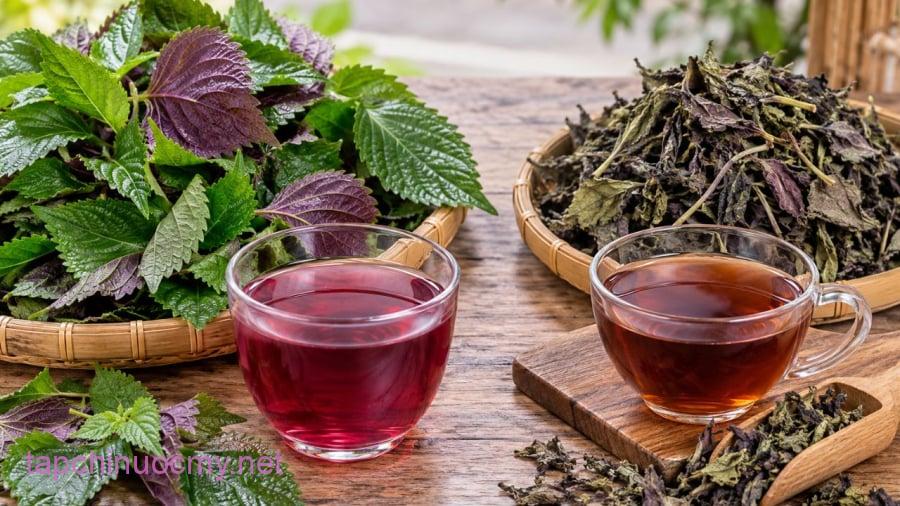 Nên uống nước tía tươi hay khô thì tốt hơn?