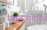 Sau khi đi vệ sinh, nên dùng giấy hay dùng vòi xịt?